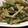 なるこォ's cooksnap of when they made ごぼうとピーマンの炒めもの.