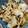 はむじぶ。's cooksnap of when they made かぶとセロリの簡単浅漬け.