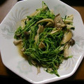 月にうさちゃん's cooksnap of when they made パパッと副菜☆豆苗とエリンギのサッと炒め.