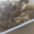 もりのりころ's cooksnap of when they made ごぼうとこんにゃくのめんつゆ煮.