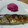 生麦生米生卵's cooksnap of when they made さんまのおいしい焼き方（覚書）.