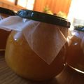 きよみどす's cooksnap of when they made 炊飯器deポン！大人の八朔マーマレード.