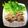 クックVGDET3☆'s cooksnap of when they made やわらか～イカバーグ～.