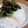 ☆よぅよぅ☆'s cooksnap of when they made 大根の葉ツナ炒め.