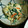 M130018's cooksnap of when they made ゆで卵でまろやかに☆ほうれん草の白和え.