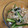 ごまちょこ's cooksnap of when they made 豆苗とモヤシのキムチ中華風ナムル.