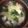 クックDAOELB☆'s cooksnap of when they made チンゲン菜とワカメと卵の焼肉スープ.