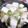 ＴＯＭＯＷＡＴ's cooksnap of when they made たらのちり蒸し.