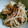 ＊ｋａｎｉ＊'s cooksnap of when they made 簡単　たっぷりキノコと油揚げの旨煮.