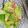 クック4MQ214☆'s cooksnap of when they made ベーコン、キャベツ炒め.