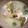 Hello☆E's cooksnap of when they made 家にある物で旨っ！圧力鍋で簡単サムゲタン.
