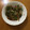 チャァム1231's cooksnap of when they made 大根の葉のかき揚げ.