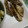 ほのけんmama's cooksnap of when they made ごぼうの素揚げ.