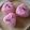 ｙａｍａｋｏ's cooksnap of when they made 桜にぎり.