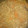 クック1J4GZZ☆'s cooksnap of when they made 切り干し大根.