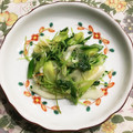 なつき☆ミ's cooksnap of when they made 簡単☆豆苗と長ネギの中華炒め.
