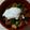 モカぷりん♪'s cooksnap of when they made 【簡単25分】野菜たっぷり焼き鳥丼.
