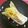 Gonbao's cooksnap of when they made 白菜のロースト.