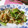 かすてら１２'s cooksnap of when they made 10分で完成！舞茸と小松菜のマヨ炒め.