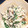 ☆ﾊﾟｲﾝ☆'s cooksnap of when they made ほうれん草とひじきの白和え.