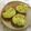 ☆Rokko☆'s cooksnap of when they made 蟹クリームコロッケマカロニグラタン♪.