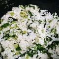 kamiちゃん。's cooksnap of when they made かぶの葉とわかめの混ぜご飯☆.
