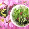 朝まと's cooksnap of when they made 水菜の梅おかか和え.