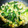 クック14565☆'s cooksnap of when they made とうもろこしとレタスの中華炒め.