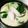 あい殿's cooksnap of when they made 簡単*茶碗蒸し*.