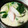 あい殿's cooksnap of when they made 簡単*茶碗蒸し*.