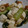 ひなた3ママ's cooksnap of when they made 青梗菜とちくわの中華炒め.