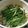 クックGJX78N☆'s cooksnap of when they made 焼肉のタレで美味しいモツ鍋★.