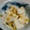 津和野's cooksnap of when they made 冬のお漬物✵ゆずかぶ.
