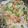 はむじぶ。's cooksnap of when they made 【給食レシピ】野菜たっぷりサラダ.