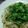 みがつくひと's cooksnap of when they made タイ風サラダパクチーがなければもやしも可.