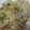 めーぞー's cooksnap of when they made 白菜ともやしのお浸し.