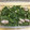 はるとニモdaddy's cooksnap of when they made ゆで落花生とほうれん草のごま和え.