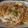 Soutamosa's cooksnap of when they made スパゲティー（春キャベツと桜エビ）.