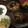 友村さんのお嫁さん's cooksnap of when they made ＊水菜とウィンナーのカレー胡麻炒め＊.