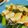 サクサクザパク11's cooksnap of when they made しっとりゆで鶏の薬味醤油がけ.