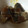 クックI5H17O☆'s cooksnap of when they made さわらの煮付け.
