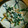 M130018's cooksnap of when they made ゆで卵でまろやかに☆ほうれん草の白和え.