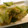 やまたび's cooksnap of when they made 白菜の作り置き２：白菜の中華和え.