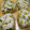 Aloha☆★'s cooksnap of when they made 節約レシピ「大根の葉とじゃこ炒め」.
