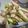 もきち☆'s cooksnap of when they made サクサク野菜炒め.