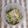 ｓｉｏ's cooksnap of when they made 塩昆布でそうめんチャンプルー.