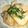 mikiha5's cooksnap of when they made 牡蠣と豆腐のあったか鍋.