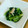 シナモシナモ's cooksnap of when they made 簡単美味♪小松菜とツナの白だしマヨ和え♡.
