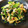 akaazua's cooksnap of when they made 小松菜とツナのからしマヨネーズ和え.
