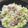 リラシャン's cooksnap of when they made ルクエで作るお肉と白菜のミルフィーユ.